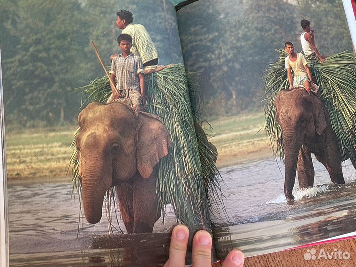 Энциклопедии Удивительный мир живой природы