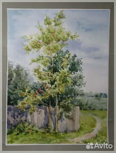 Акварельные картины. Пейзажи