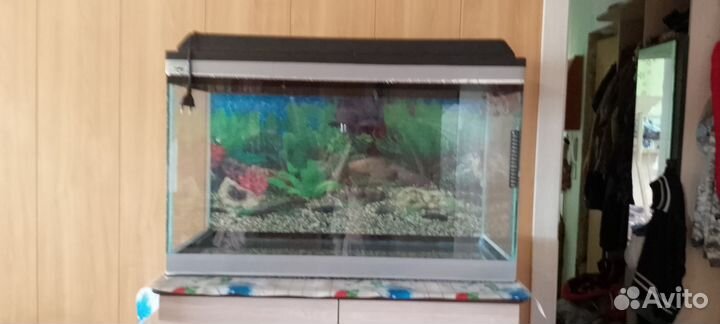 Аквариум 130 литров