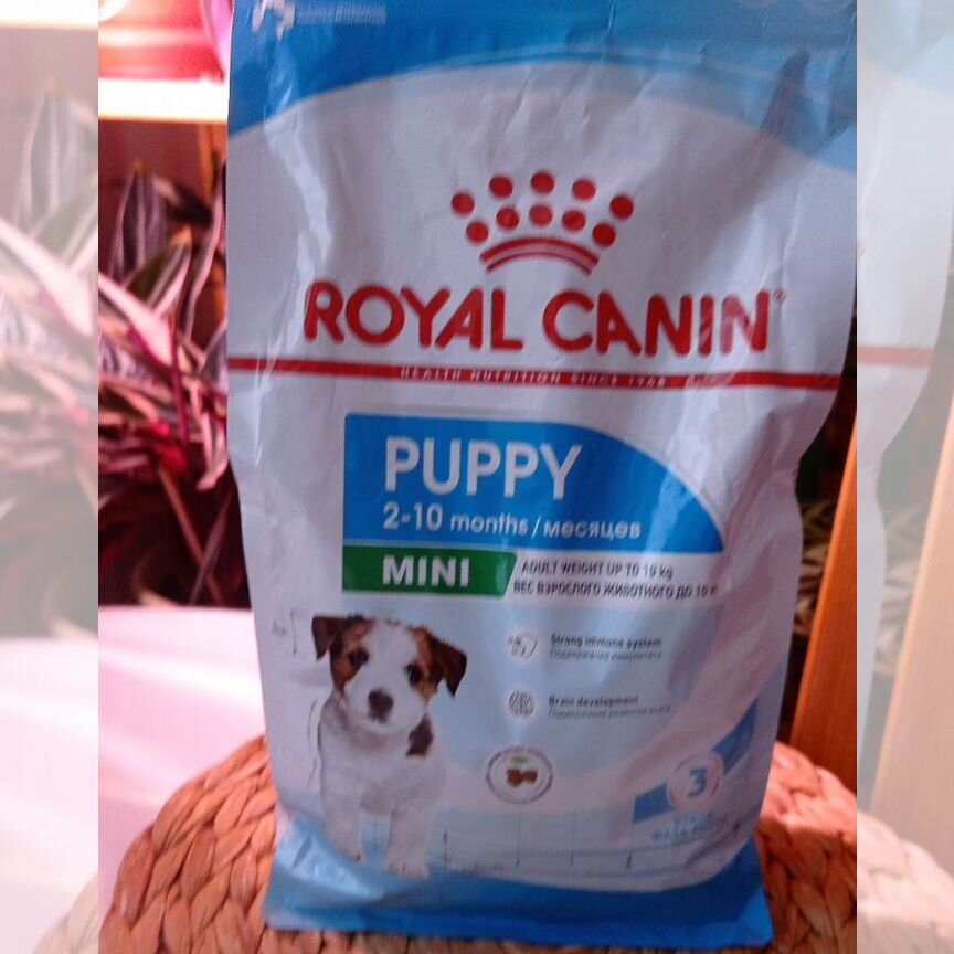 Сухой корм для собак royal canin