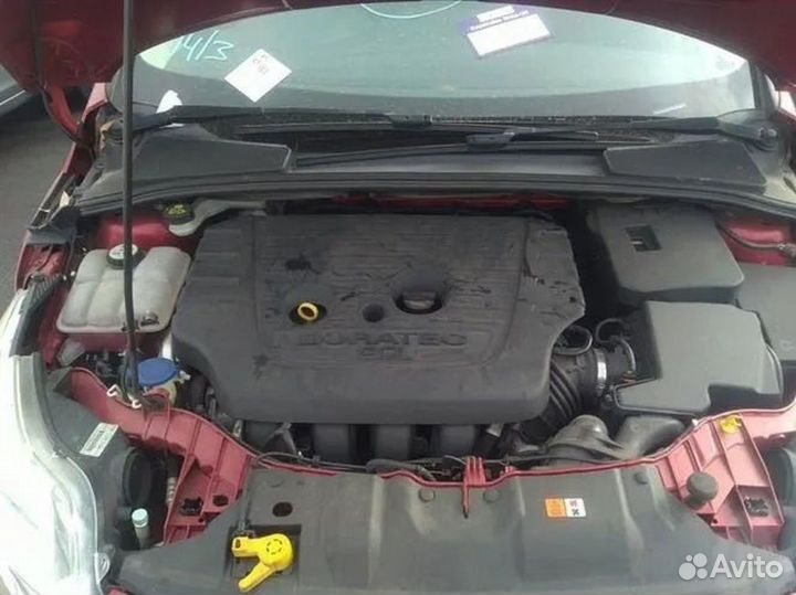 Разбор Ford Focus 3 из Австралии