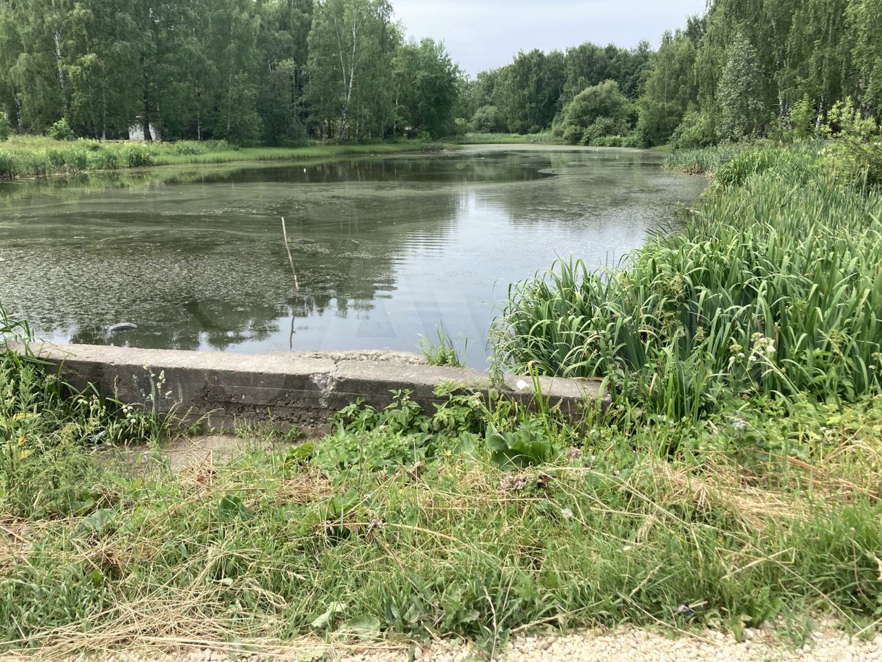 Молодежная 14 к 3 долгопрудный. Участки долгопрудный запово 2. Молодёжная улица 14к3 долгопрудный. Московская область, долгопрудный, молодежная ул. Молодёжная улица 14к3 долгопрудный.