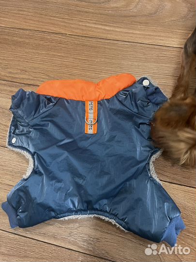 Комбинезон для собаки petmax