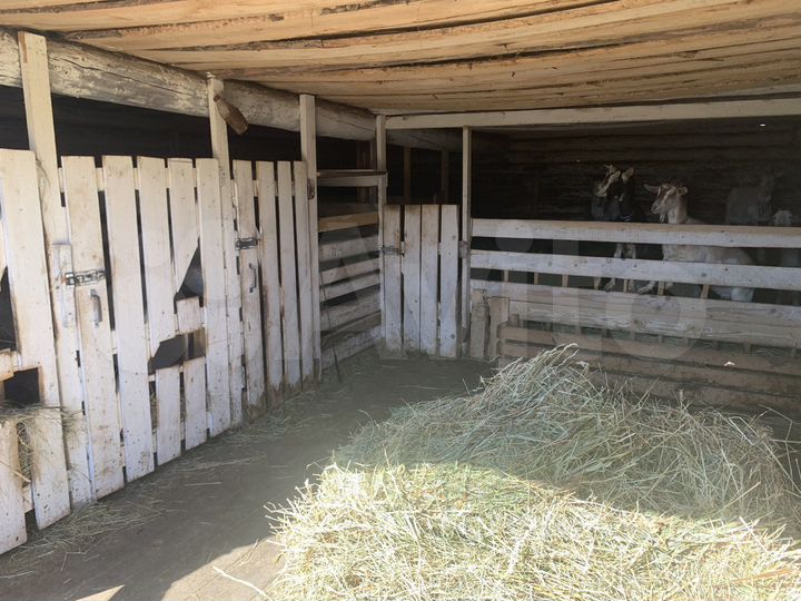 Участок 6 га (ИЖС)