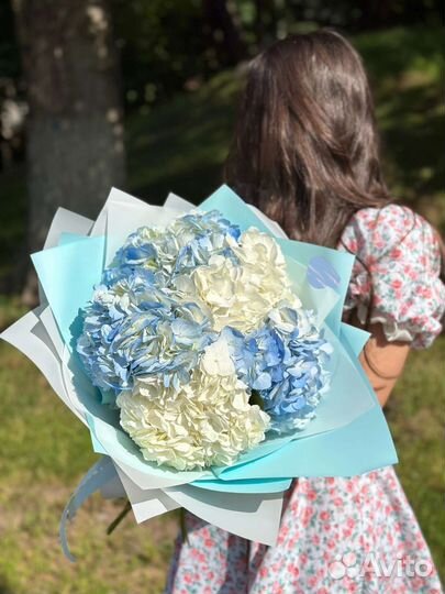 Гортензии Букет Цветы с доставкой