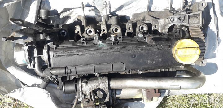 Гбц в сборе дизельного К9К