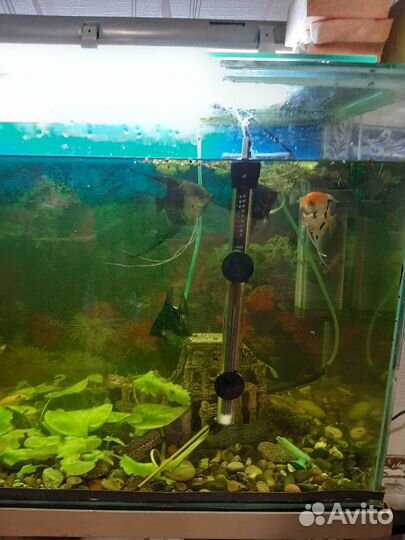 Аквариум