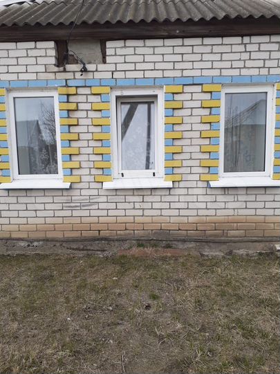 Дом 50 м² на участке 20 сот.