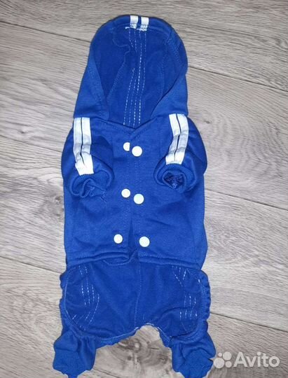 Одежда для маленьких собак