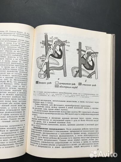 Здоровый ребенок Справочник педиатра, Усов, 1984