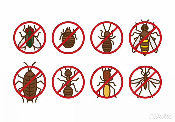 Дезинсекция, дератизация, дезинфекция