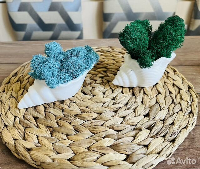 Кашпо со мхом, кашпо