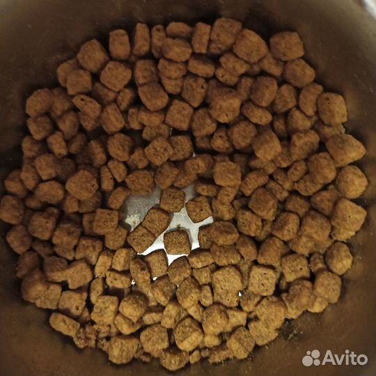 Сухой корм для стерилизованных кошек