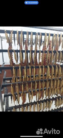 Копченая и вяленая рыба оптом