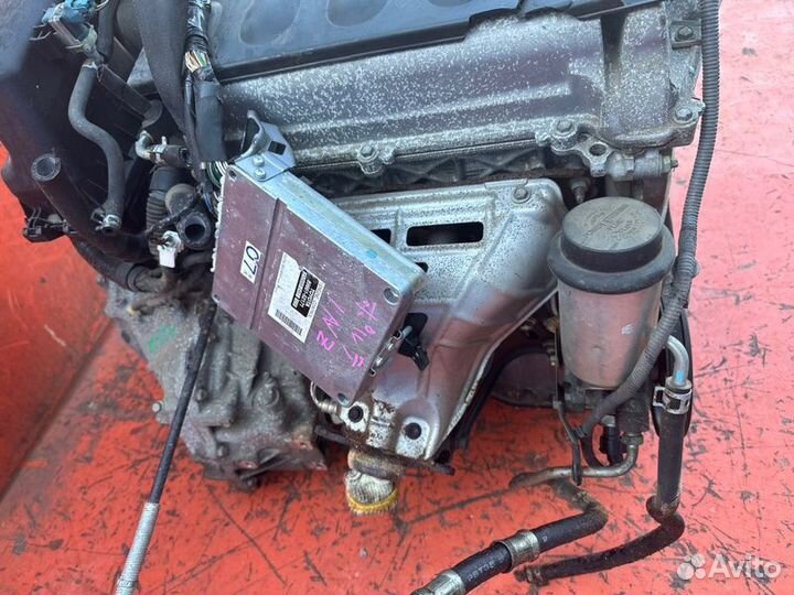 Двигатель Toyota Porte NNP11 1nzfe 2004