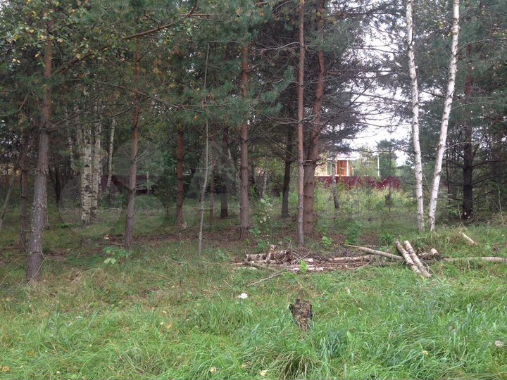 Участок 24 сот. (СНТ, ДНП)