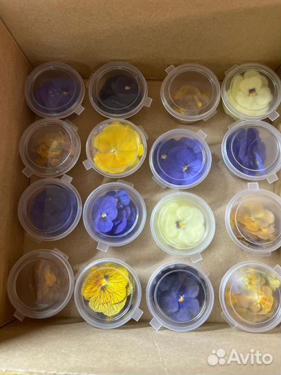 Сухоцветы виол, съедобные цветы