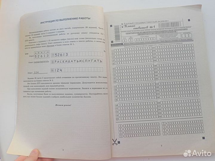 Егэ русский язык, Г. Т. Егораева