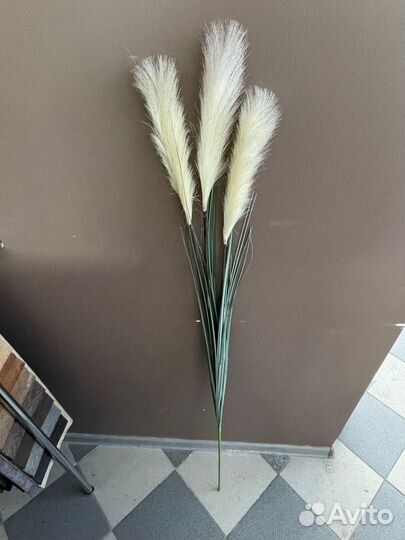 Пампасная трава, тросник 150 см