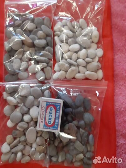 Морские ракушки и камни