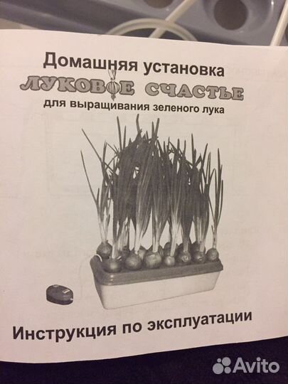 Луковая грядка на подоконнике