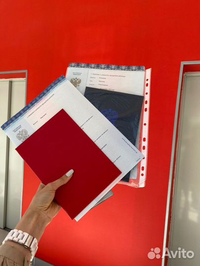 Репетитор по обществознанию