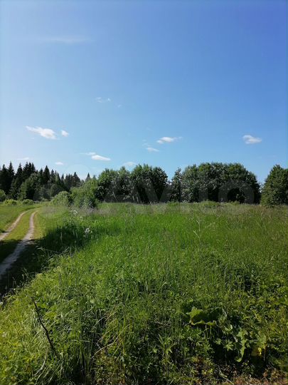 Участок 15 сот. (ИЖС)