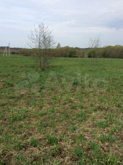 Участок 15 га (ИЖС)