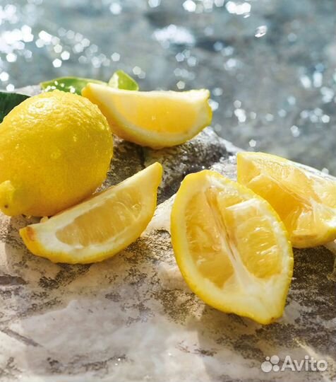 Духи dolce gabbana light blue