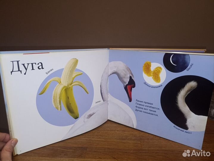 Книжка для малышей