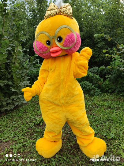 Аниматоры на день рождения детям