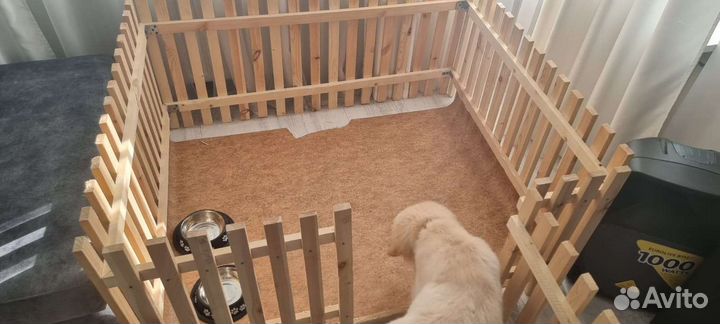 Вольер для щенков в квартиру