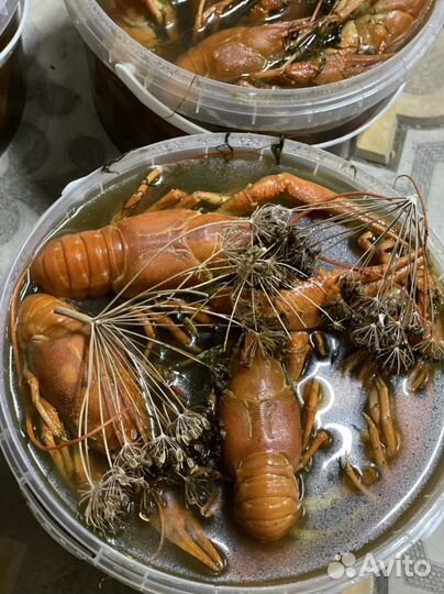 Раки варенные