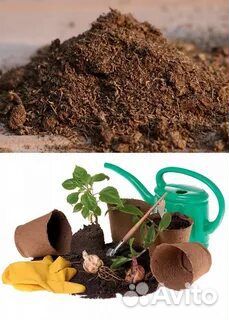 Удобрения для сада и огорода