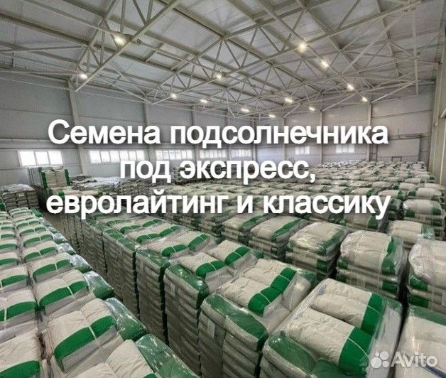 Семена подсолнечника под экспресс, евролайтинг
