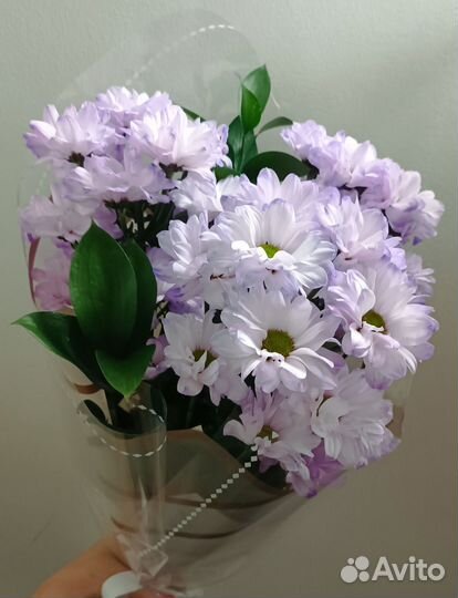 Живые цветы и букеты