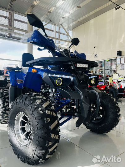 Avantis hunter 8 NEW LUX