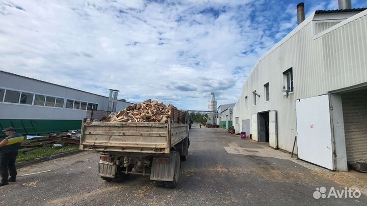 Дрова берёза Горбыль