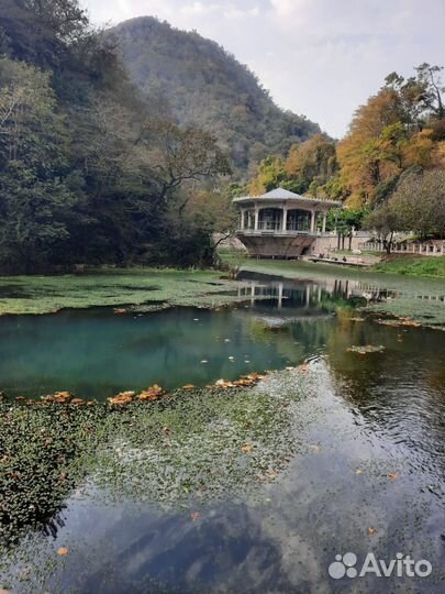 Экскурсия Золотое кольцо Абхазии(микроавтобус)