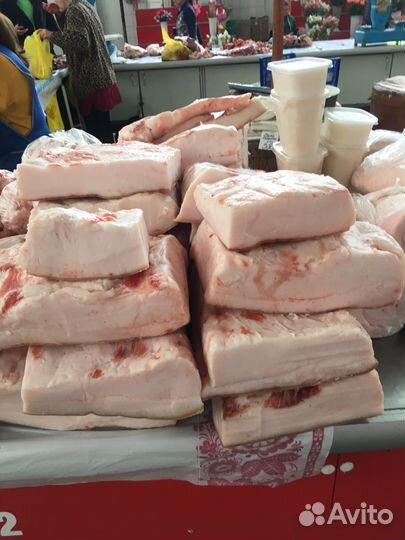 Сало свиное свежее