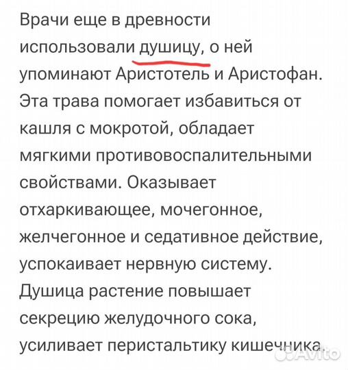 Зарытие сезона.Мяты, душицы, чабрецы, бергамот