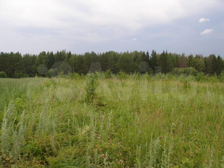 Участок 100 сот. (ИЖС)