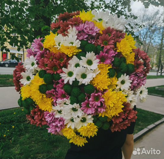 Хризантема цветы букеты