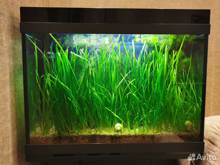 Аквариум 100 литров с тумбой