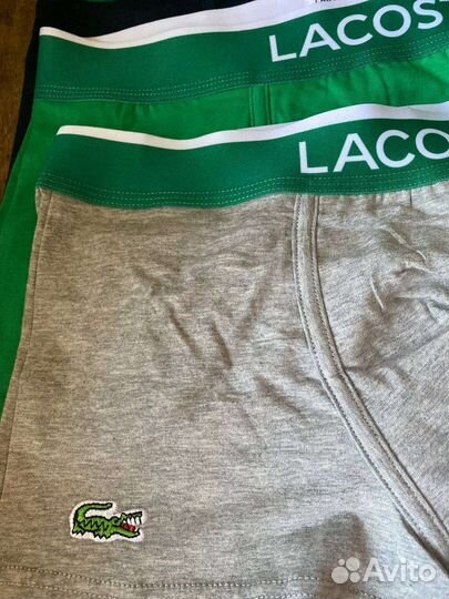 Мужское нижнее белье трусы Lacoste