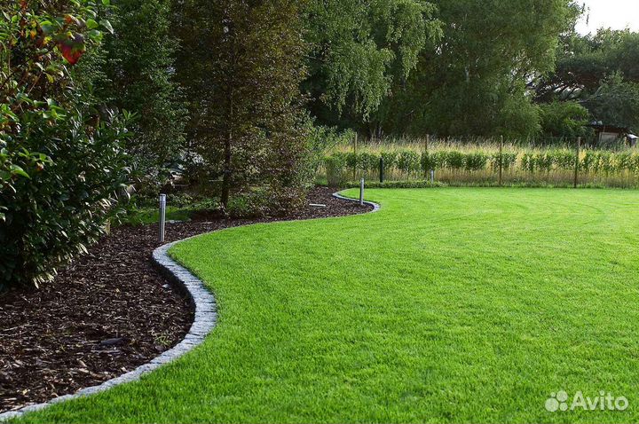 Продажа рулонного газона под ключ
