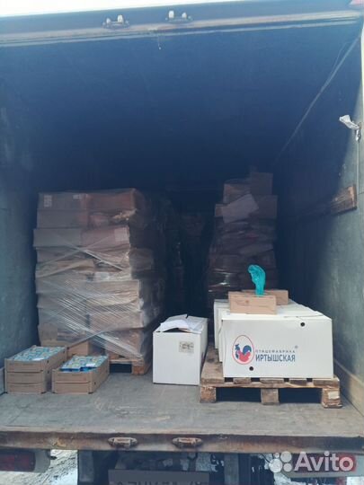 Foton Auman 135P, 2007