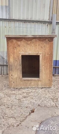 Собачья будка