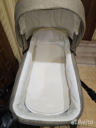 Коляска adamex amelia 3 in 1