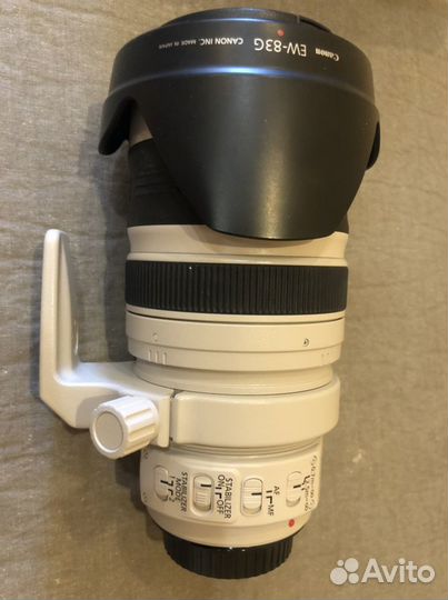 Объектив Canon EF 28-300mm f/3.5-5.6L IS USM